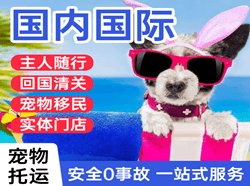 长安机场快递国际宠物托运 【国